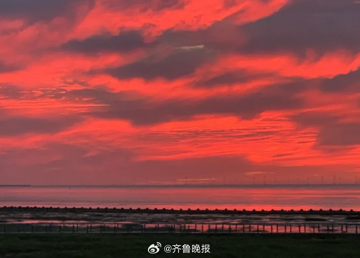 努力自我更新，永远向上生长。#早安# ​​​