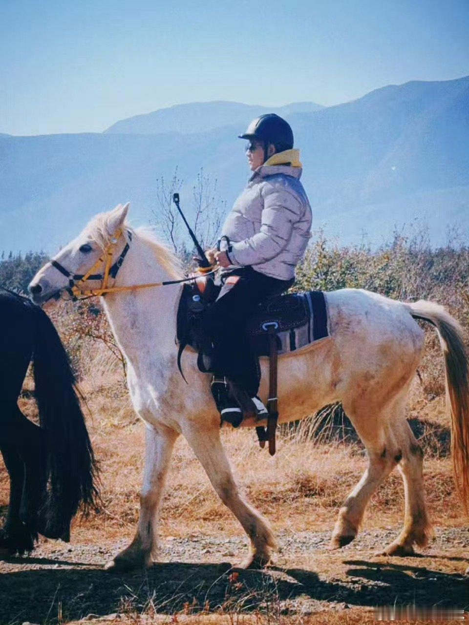 苏醒这张照片算工伤快乐老友记 镜头你清醒一点！对我们苏醒做了什么啊？骑马侧拍拍成