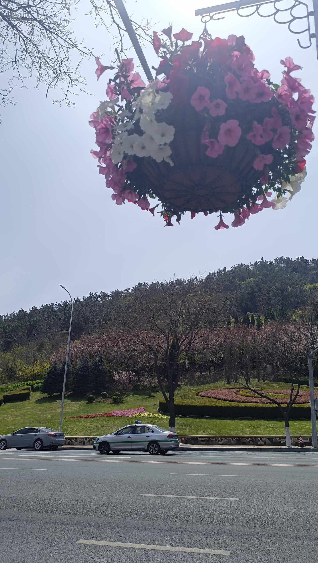 [抠鼻]不是说公开课只有俩家长报名吗？Yaya放学的时候说去了十来个家长[笑哭]