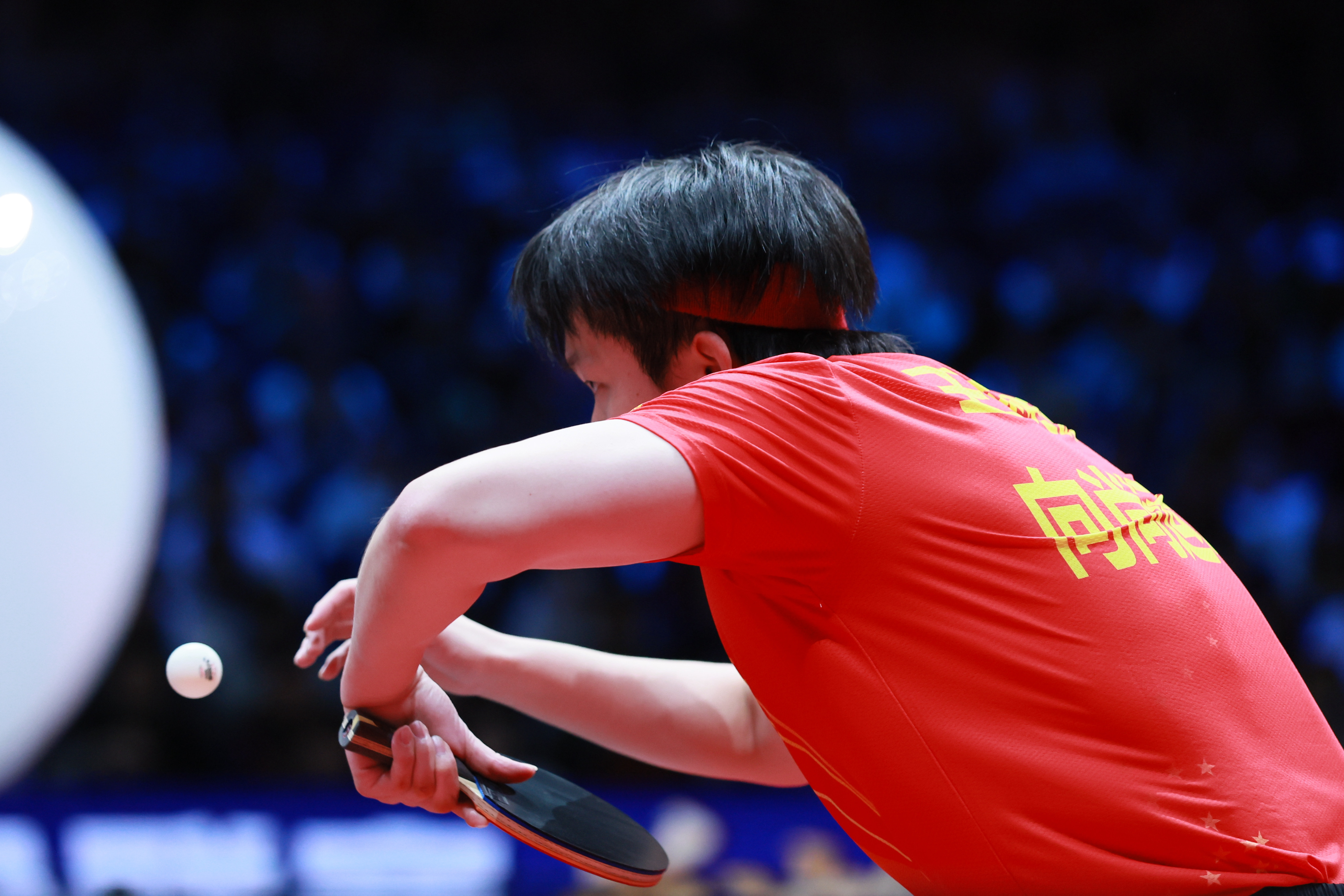 王楚钦 20251229 ｜乒超总决赛图集🔴 