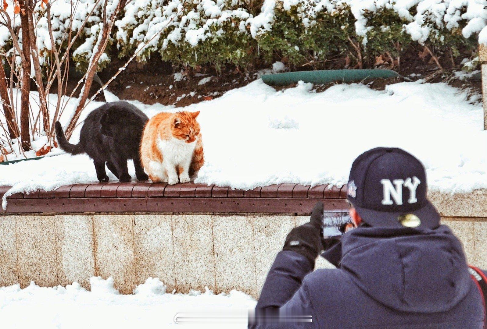 新年扫街计划新年第一次出游 一场大雪 拉开了冬日北京的美妙问候有些故事合适人，有