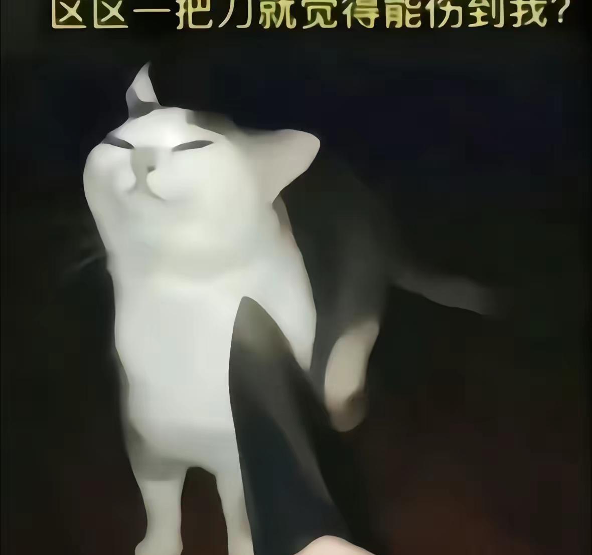 喵～😭。喵～😭喵～😭喵～😭喵～😭喵～😭喵～😭喵～😭喵～😭喵～?