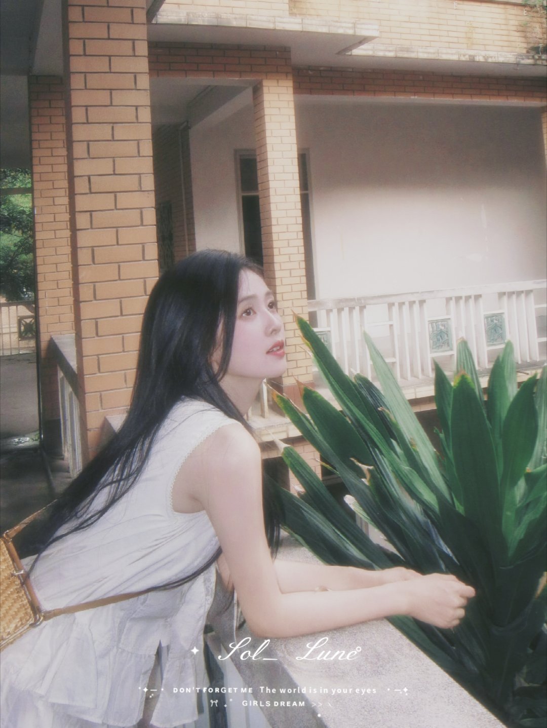 白鹿[超话] 享受自由与明媚夏日🍃白鹿 ​  ​​​