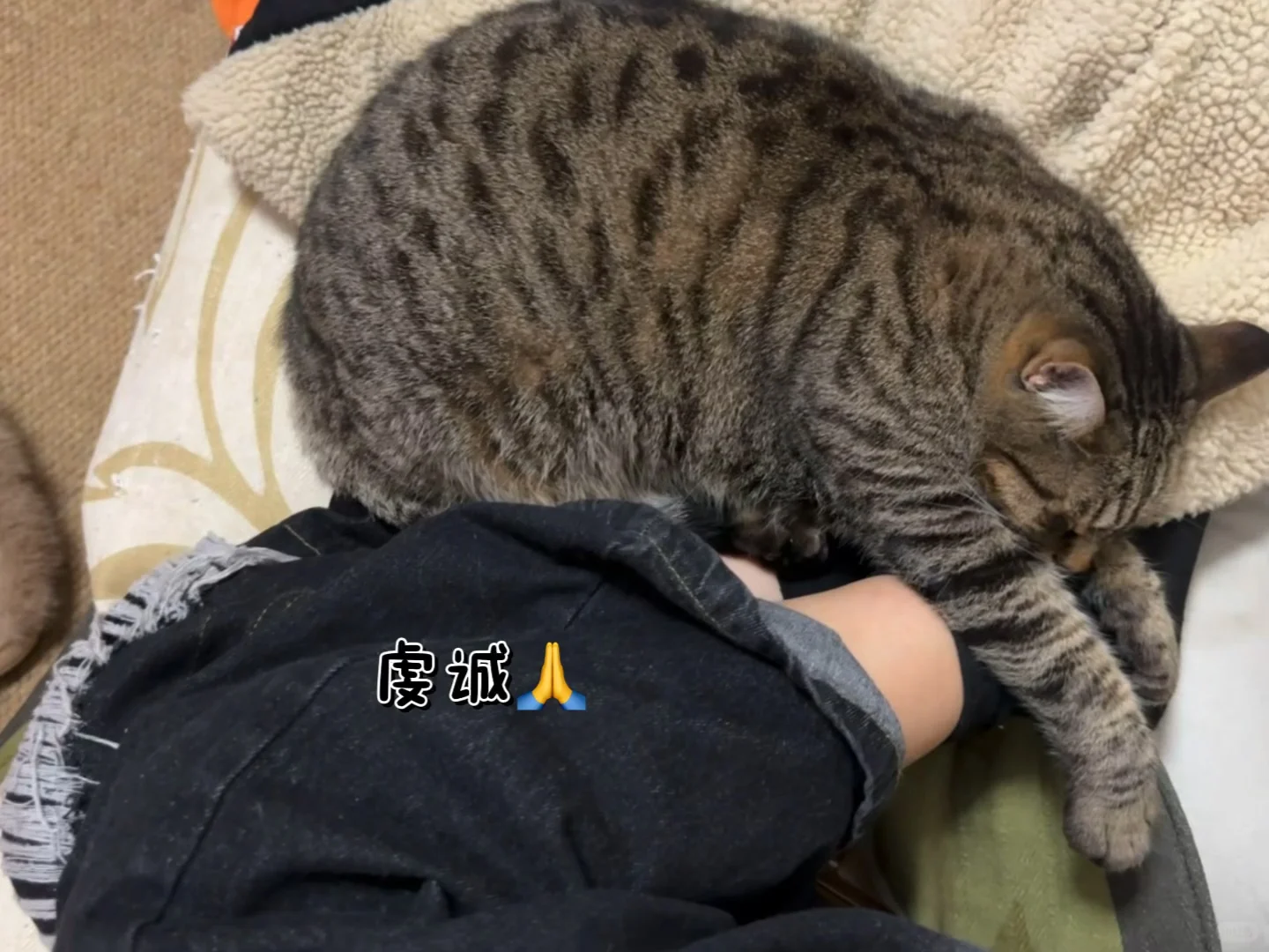 宝宝 你的出气口堵住了