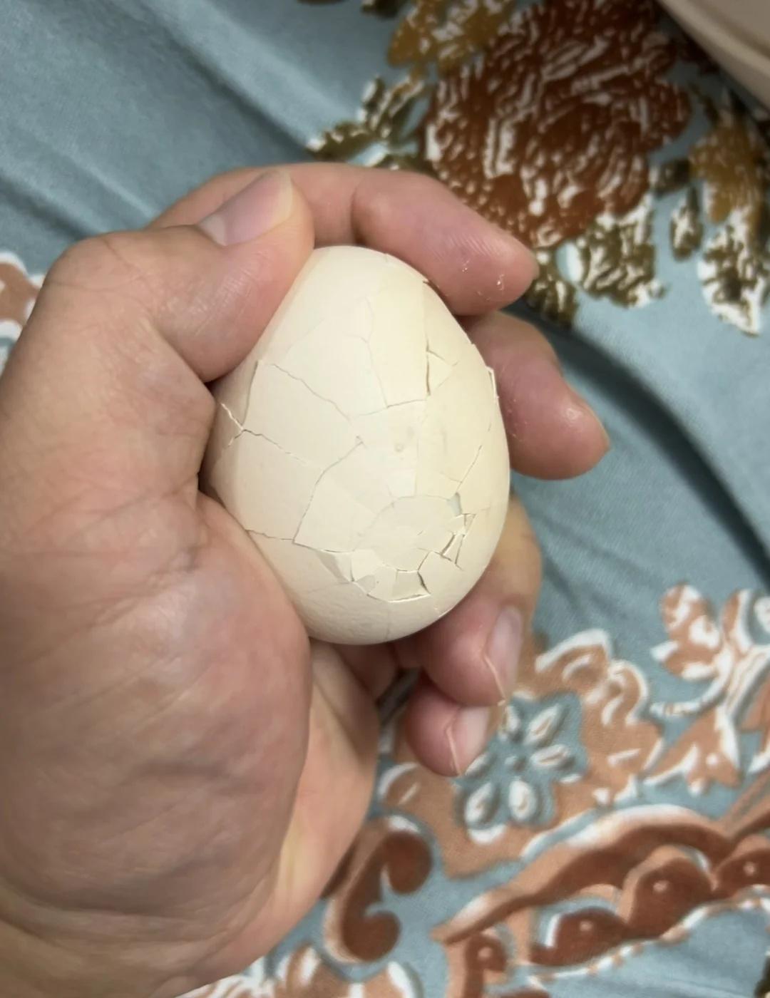 一枚一般般不太完美的“成都地图”。
一枚一般般不太完美的“成都地图”。奇怪的东西