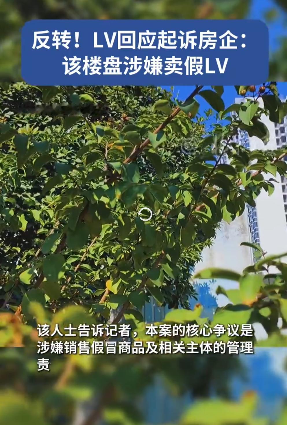 别再传错了！LV 起诉厦门楼盘并非雕花纹样，真实情况是场地内有人售卖假冒 LV 