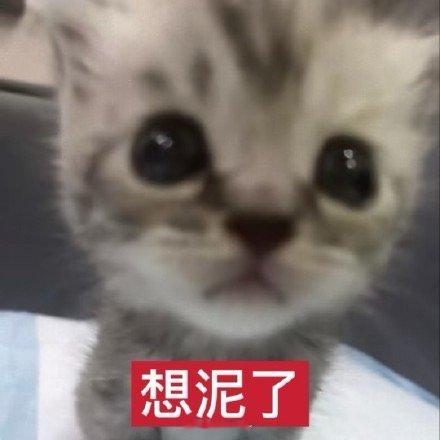 约一点新朋友 要求是能接受我就行o(≧v≦)o本人etj偏嬷嬤 整泥无差 会嗑药