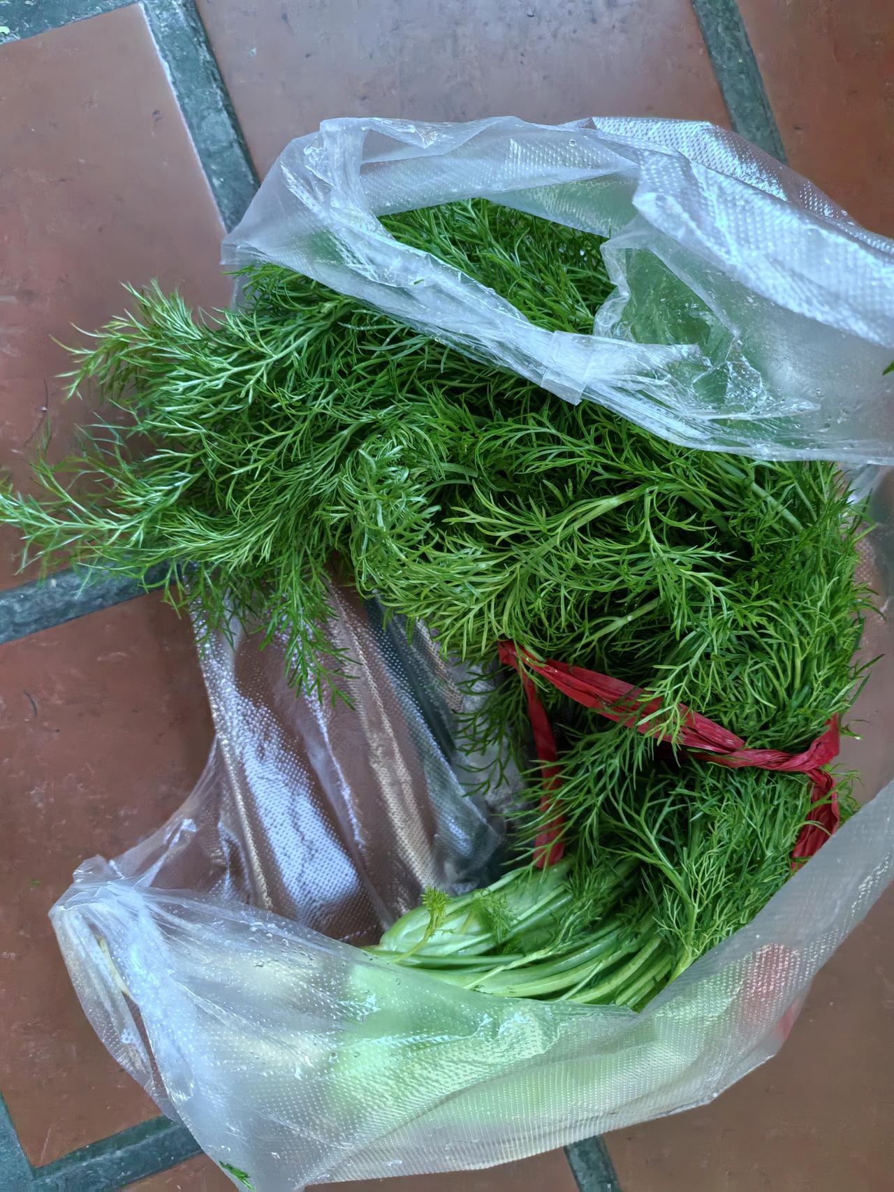 一个星期包一次包子，作为每天的早餐，包子的包子 营养手工包子 两块钱包子 这次包