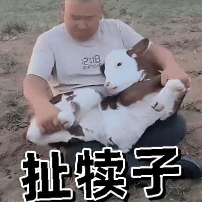 看了一晚上白玉兰扯犊子，明天就看这个名为白玉兰，实际上是老头乐的水奖，到底给哪个