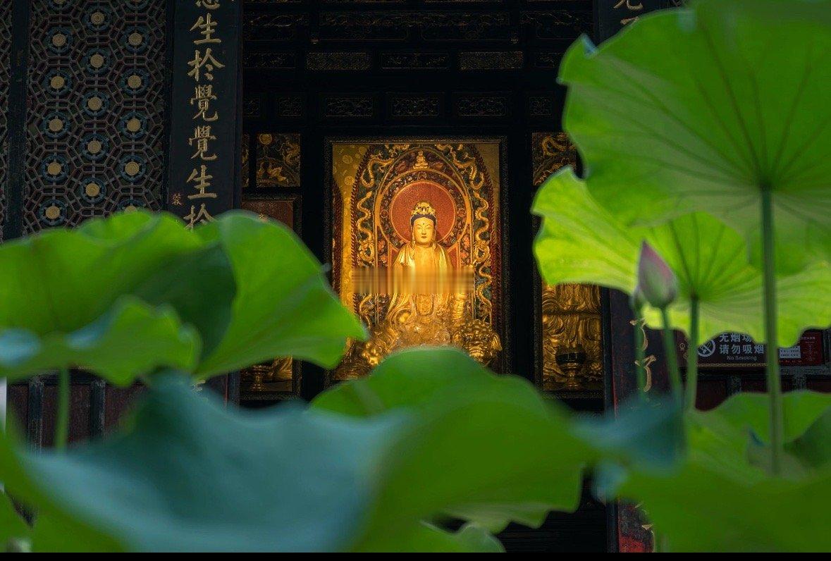 恭喜你刷到莲间观音圣像，请不要无视，评论很灵的🙏 ​​​