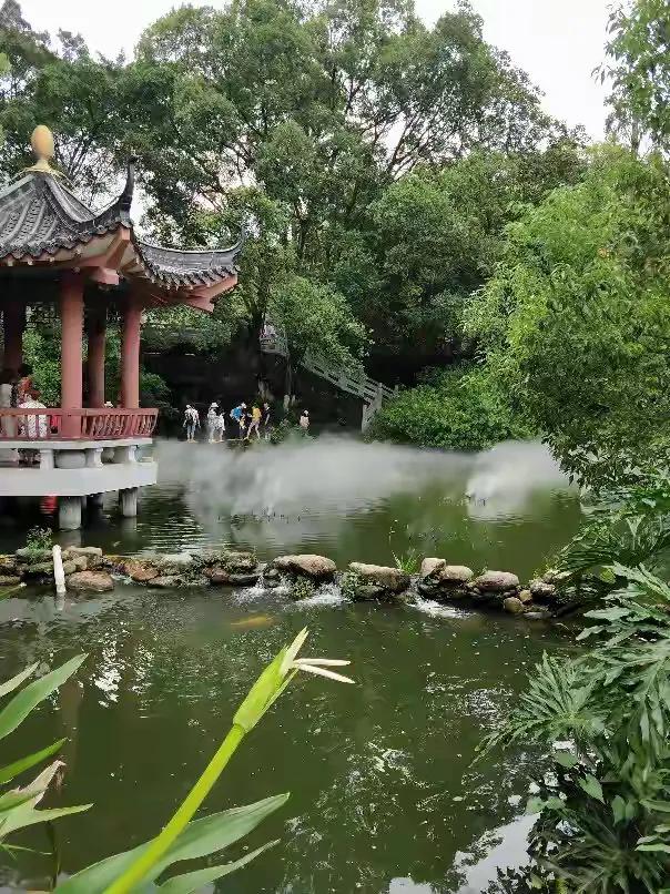 《霜降》七律
 
霜降时分秋意浓，山林尽染韵千重。
丹枫似火燃天际，黄菊如金映晚