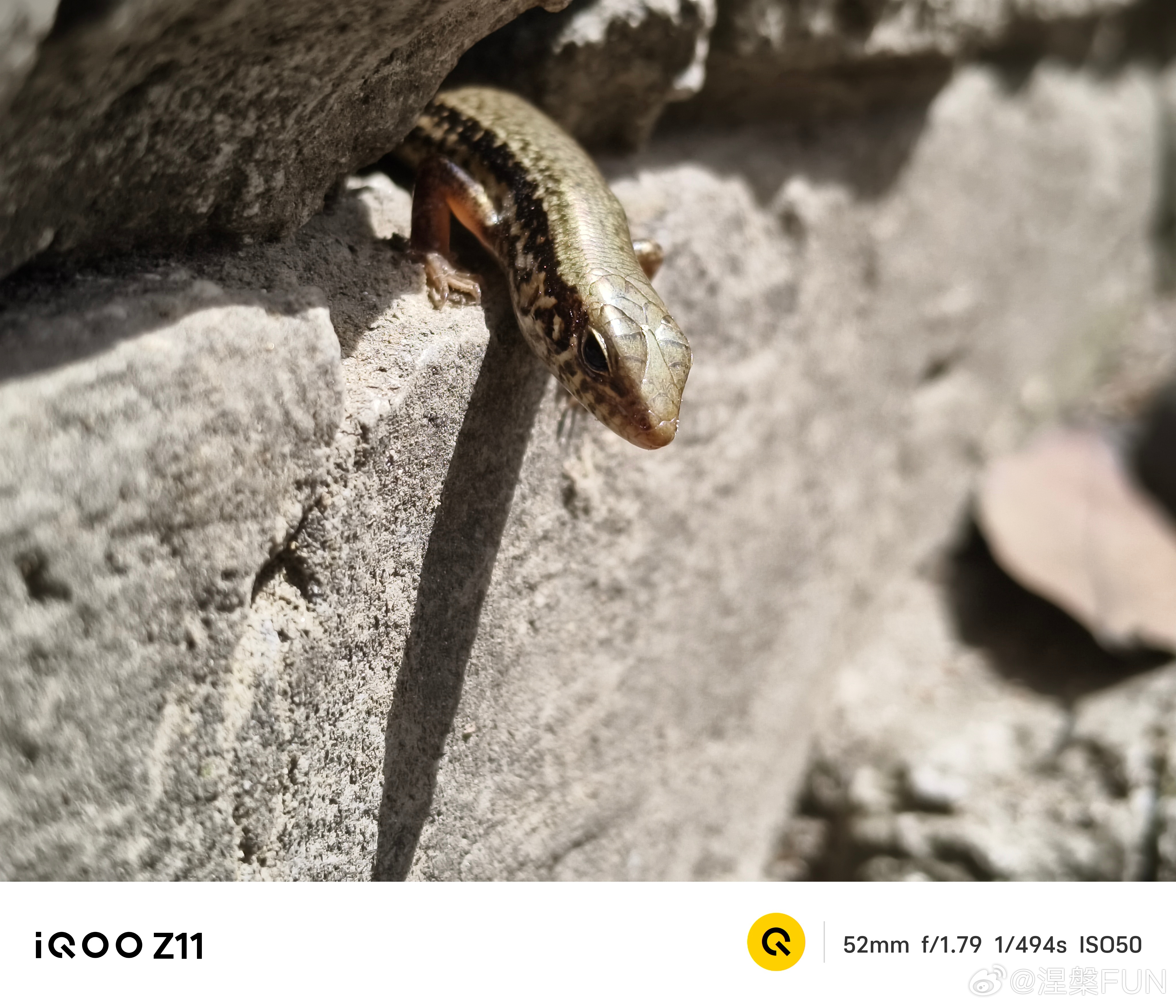 新品驾到 大家有一种误解，就是性价比价位里偏电竞游戏的手机，拍照肯定拉胯。其实厂