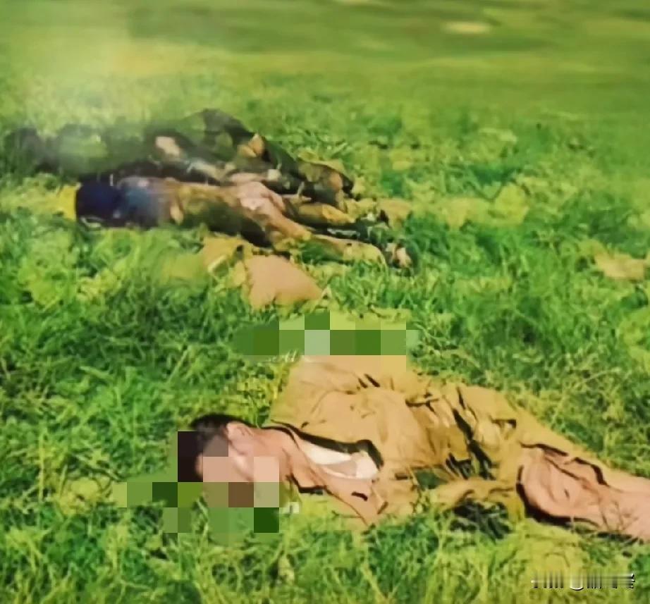 老山反击战中，倒在冲锋路上的战士。
1984年6月，老山反击战打得最为惨烈的一次