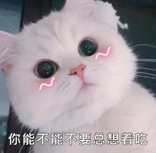 青岛这个网球场藏着环保小心机！用废网球搭建，把“浪费”变成“再利用”。曝青岛某网