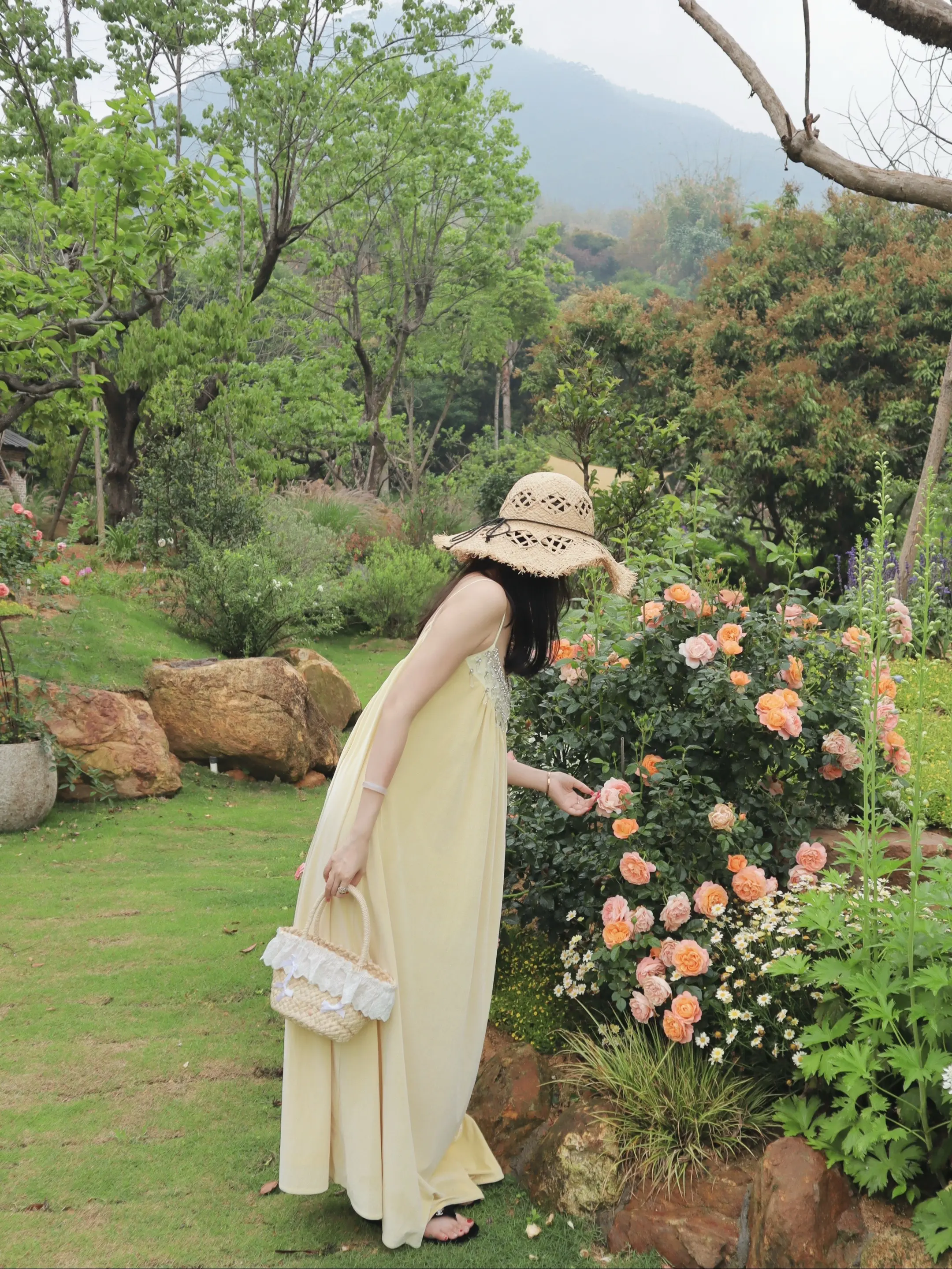 漳州版“爱丽丝梦游仙境”🌸