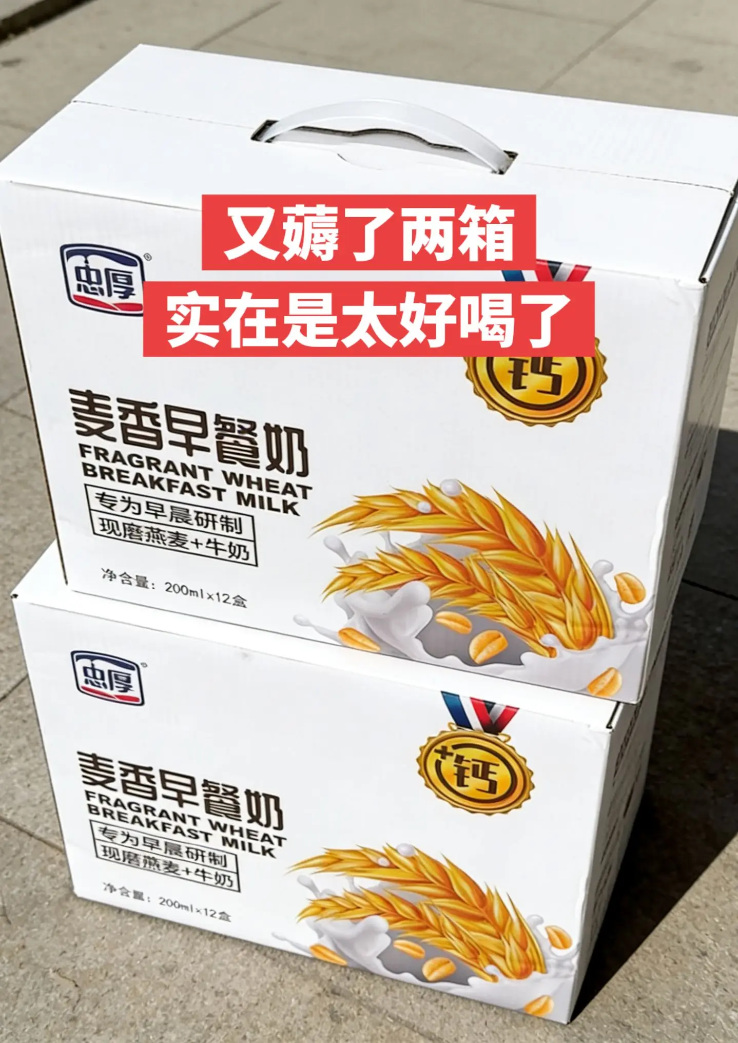 这价到手12瓶超好喝的麦香酸奶。