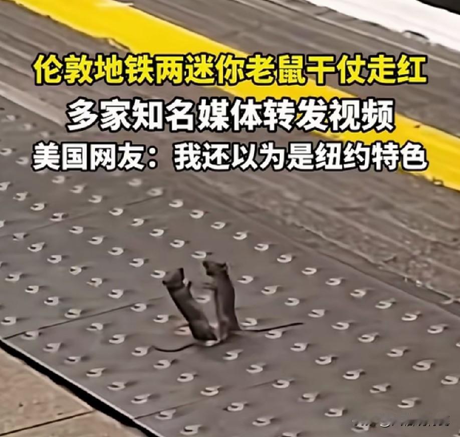 不像真的[what]