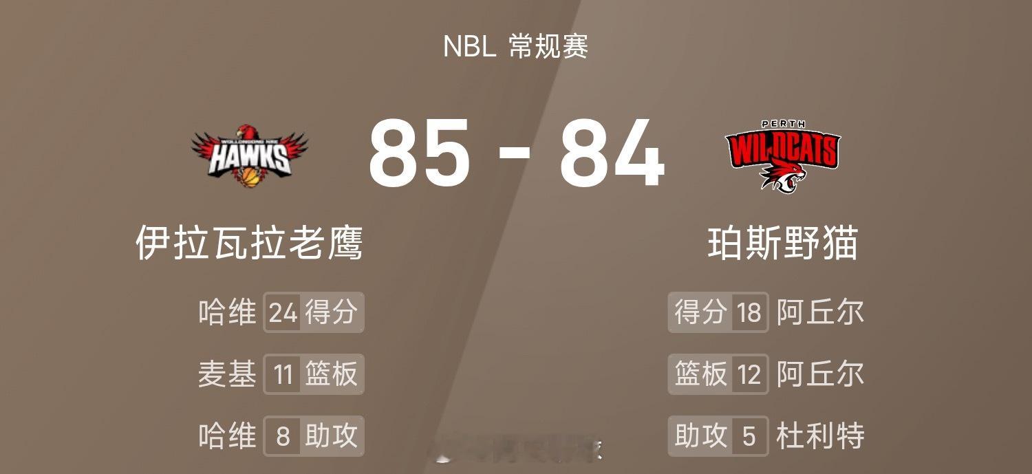 NBL战报：哈维24分8助，麦基罚球绝杀，老鹰85-84险胜野猫篮球 ​​​