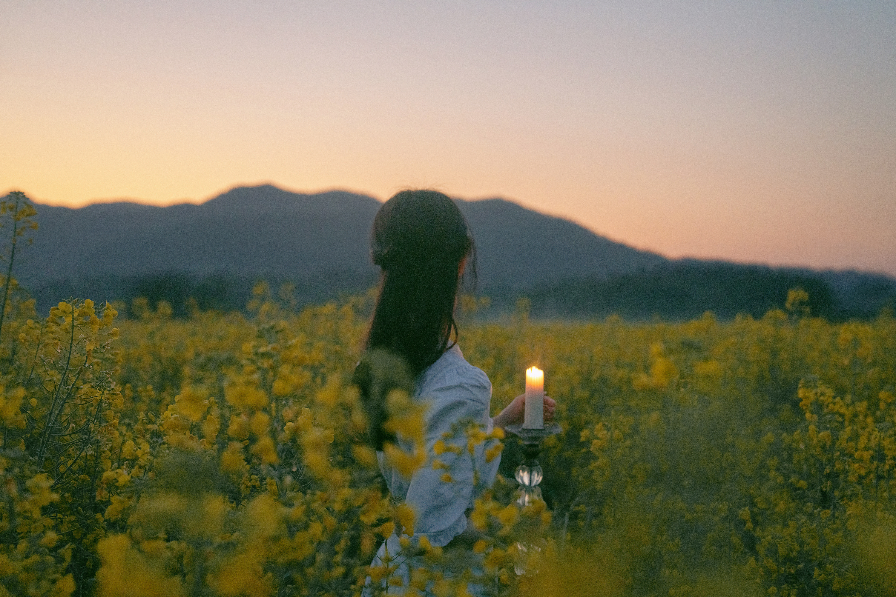 田野上的诗- ​​​