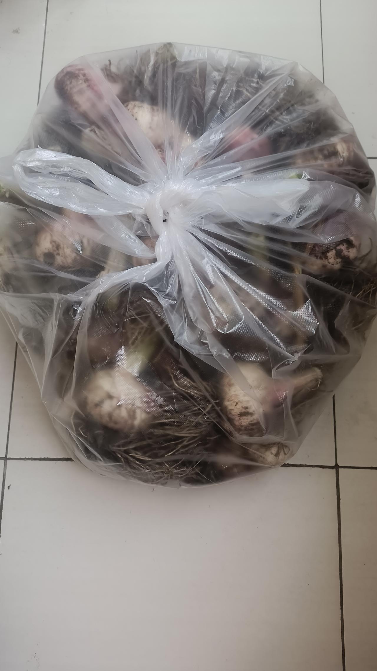 坐标保定。今天早上起了个大早，趁还没下雨， 跑到明德街二师公园附近的早市转了转。