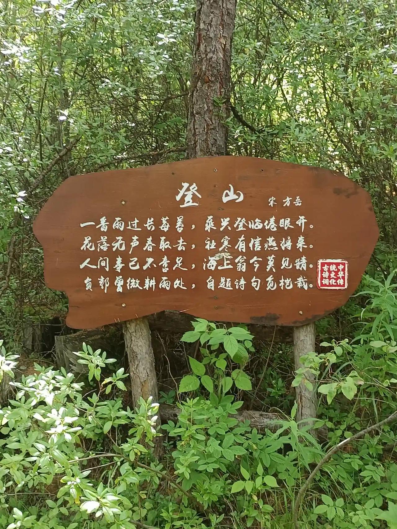 天高云淡去登山。
秋日里天高云淡，望断南飞雁，不妨去登一座不太高的缓坡山，感受秋
