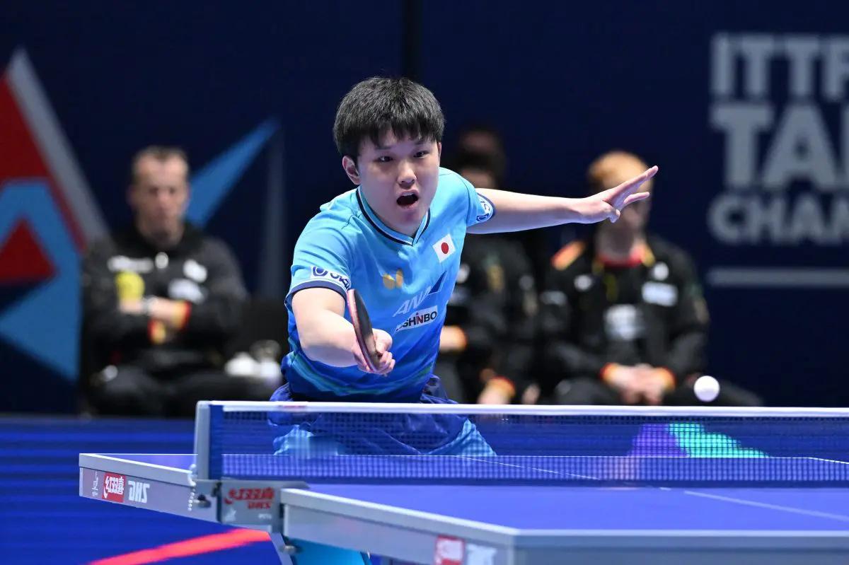 张本智和张本智和2026年伦敦世乒赛 20260503日本男队主教练岸川圣也：“