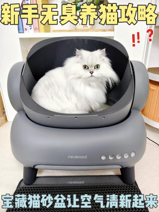 养猫家庭异味儿太大？那是猫砂盆没选对！