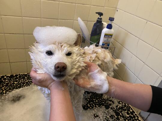 🛀