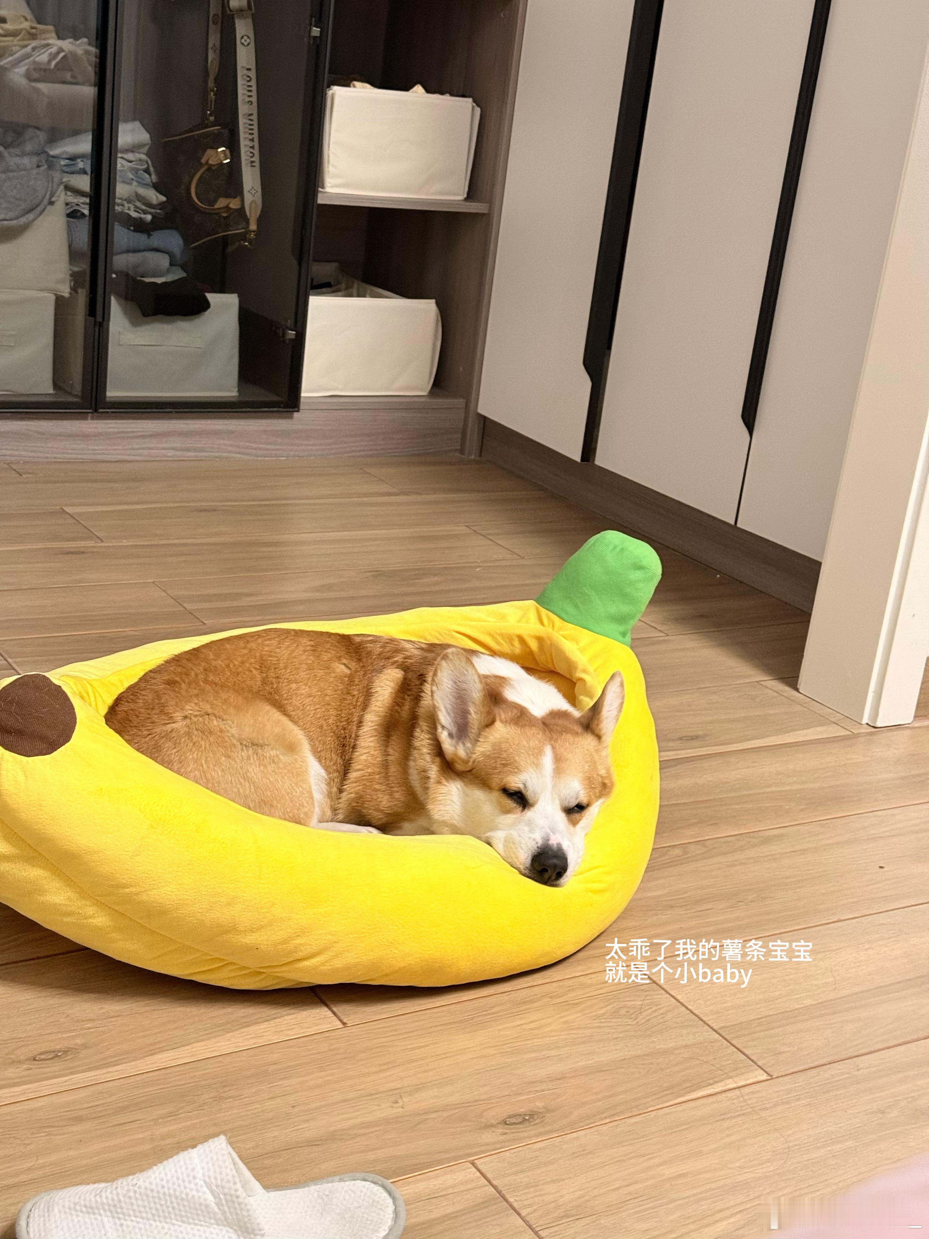 假期碎片🧩 