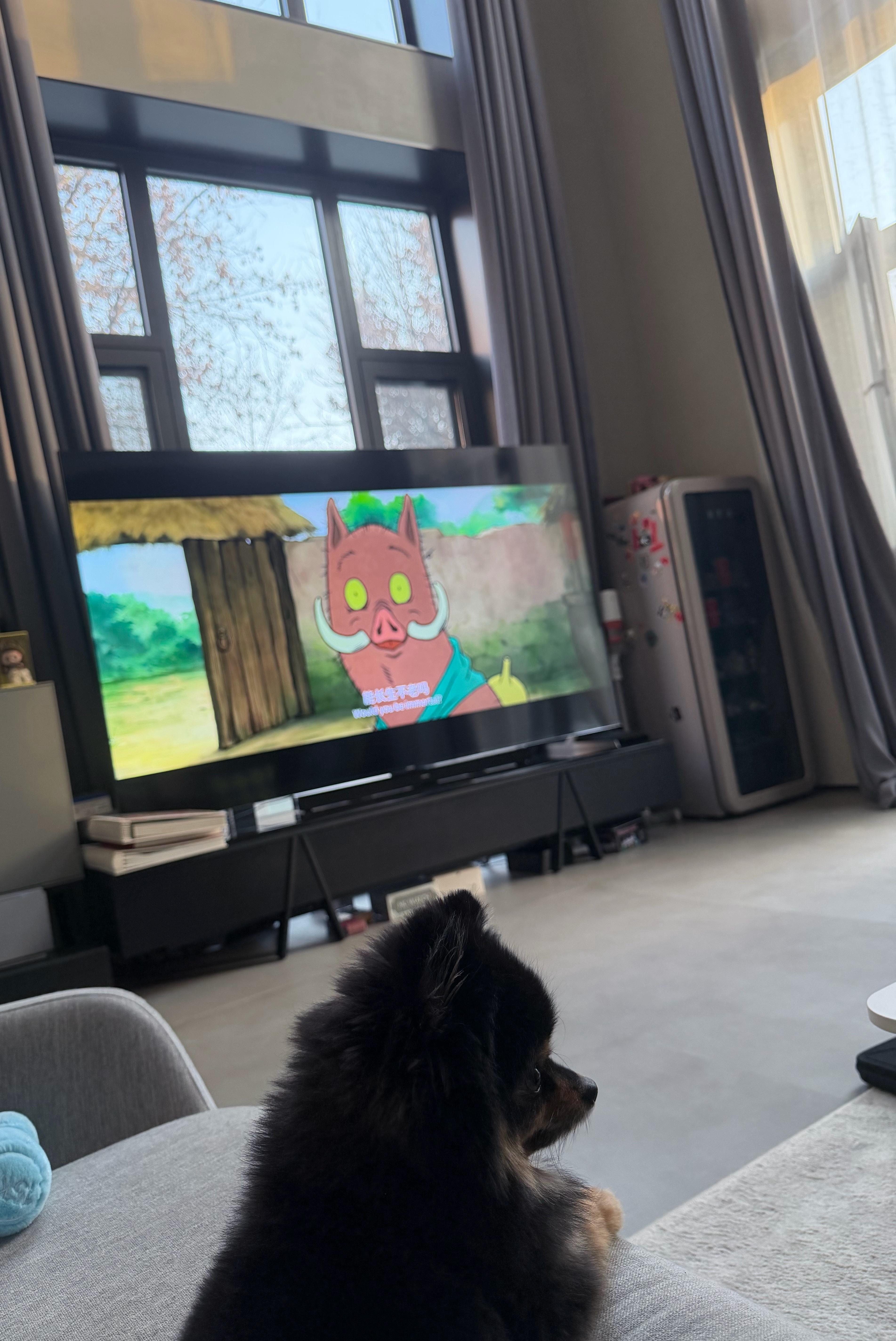 来胡总家看啥都像抽奖的，手痒痒，咋整捏