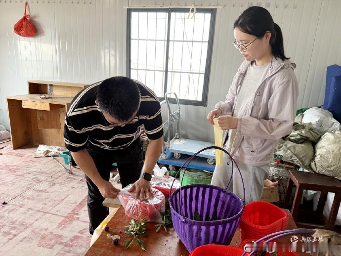玉环杨梅上市前先过安全关杨梅上市前夕落实农残抽检、果品溯源等多项安全检测，逐项排