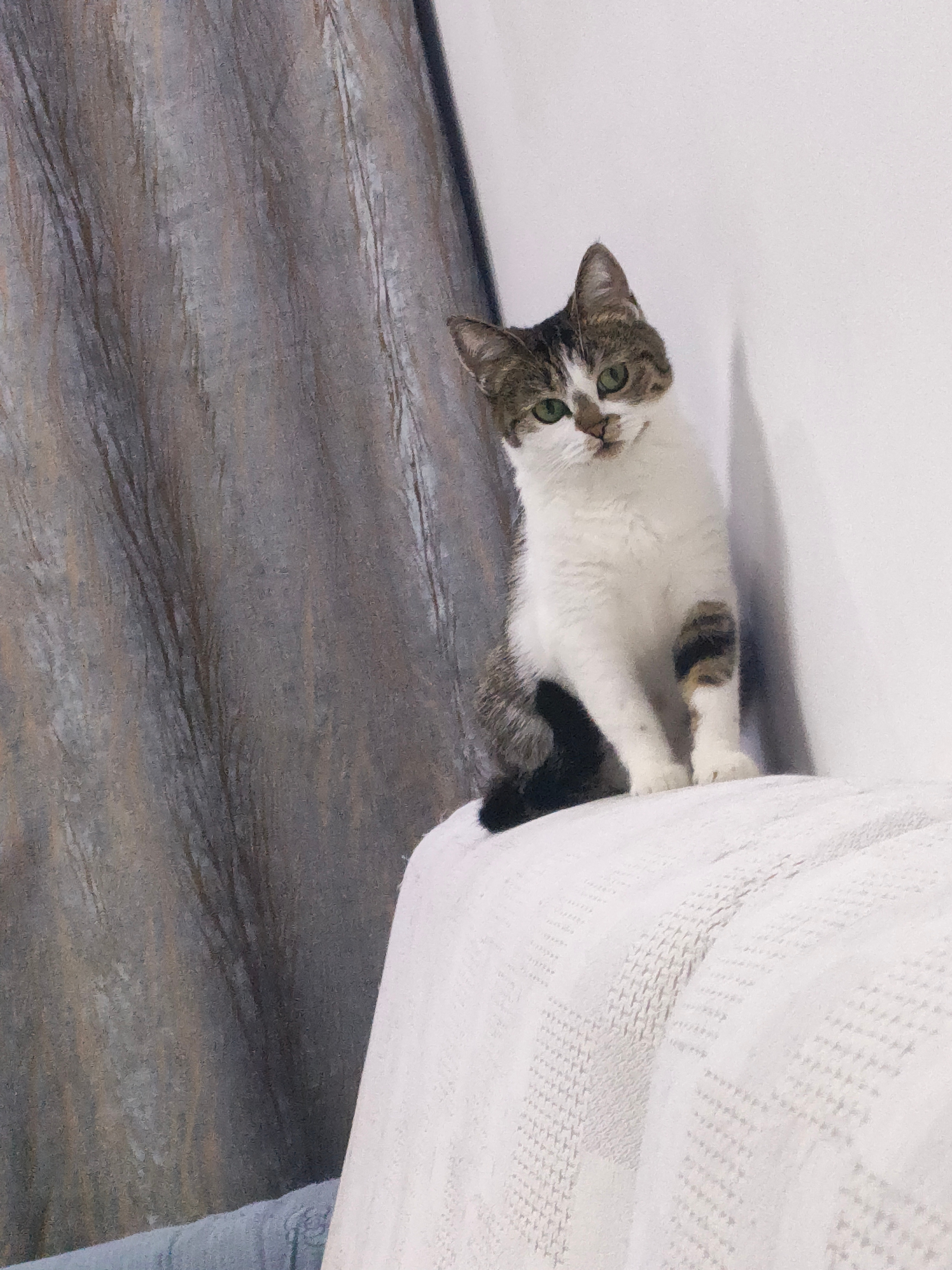 我觉得她都小脑瓜里装的全是罐罐 