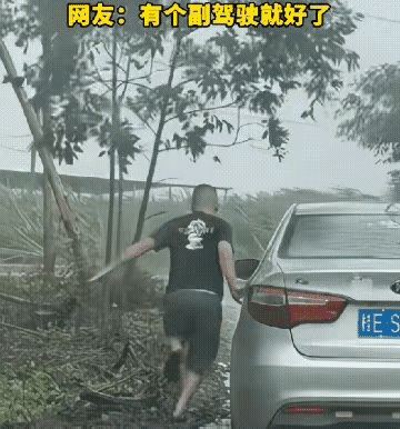 这个开车的司机，就和这棵树拉锯上了，实际上这个树也不是很大，他直接把树头折断就可