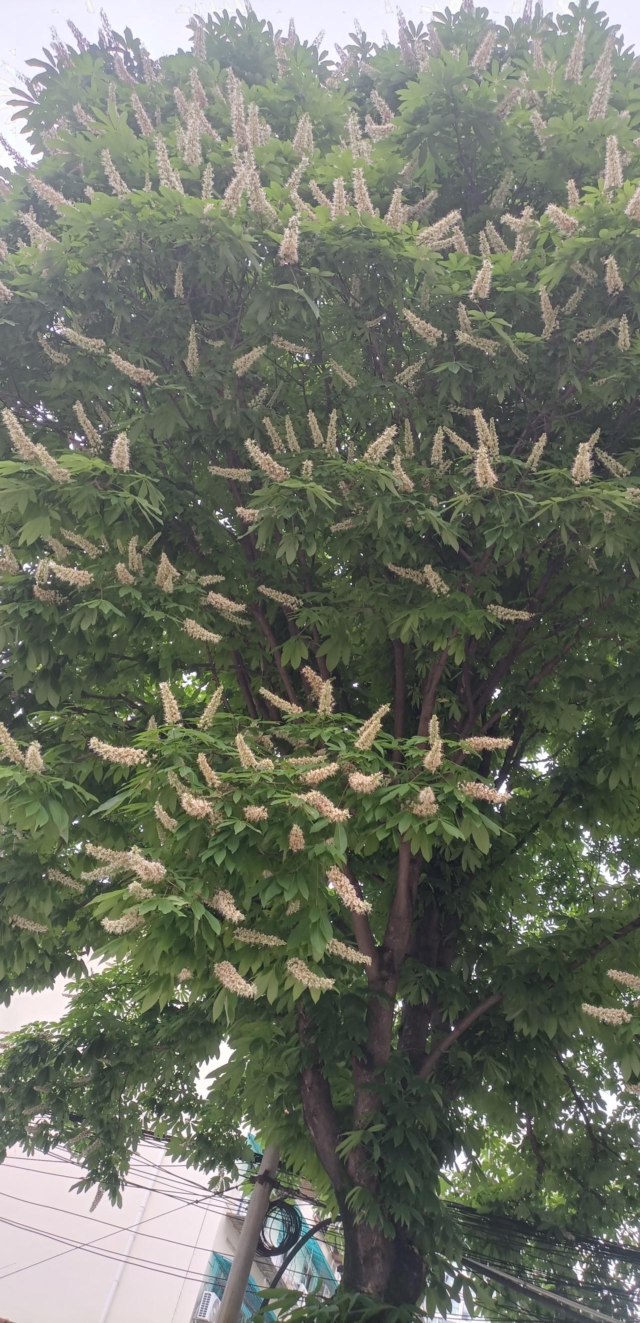 【夏之韵·活着的过程就是人生】夏日生活打卡季 

人生指的是活着的过程，并不是结