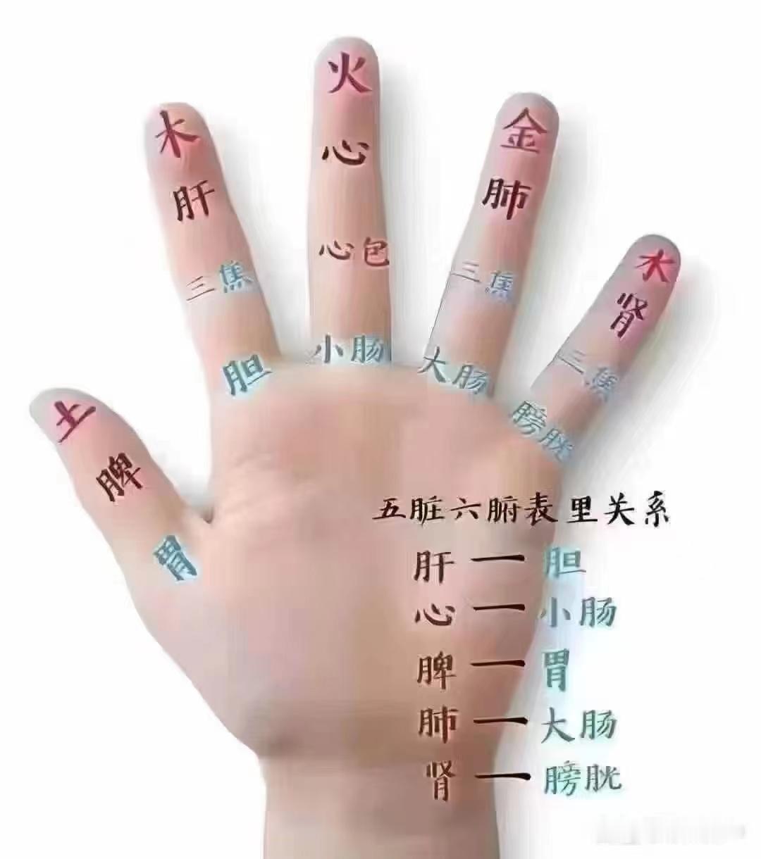 养生不仅是管理身体，更是安顿身心。它让我们在快节奏中停下来聆听身体的声音，在规律