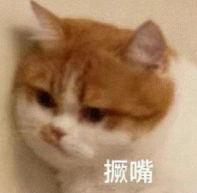 聊天必备表情包第728弹喵星人必备表情包​​​（拿图吱声） ​​​