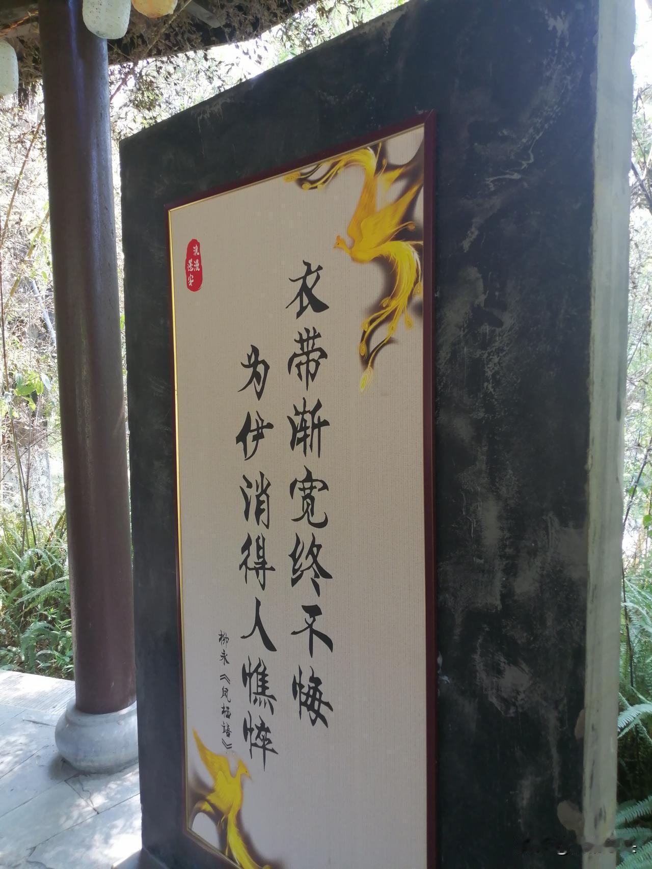 《为什么女人睡过之后，转身就能不理你？答案就两字“值得”》

昨晚跟一帮小年轻喝