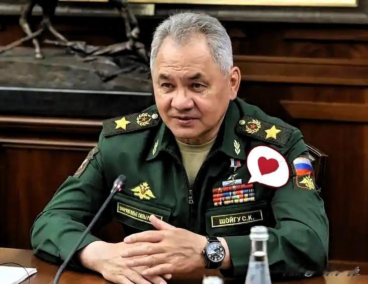 绍伊古：俄有权对芬兰和波罗的海三国行使“自卫权”

4月16日，俄罗斯联邦安全会