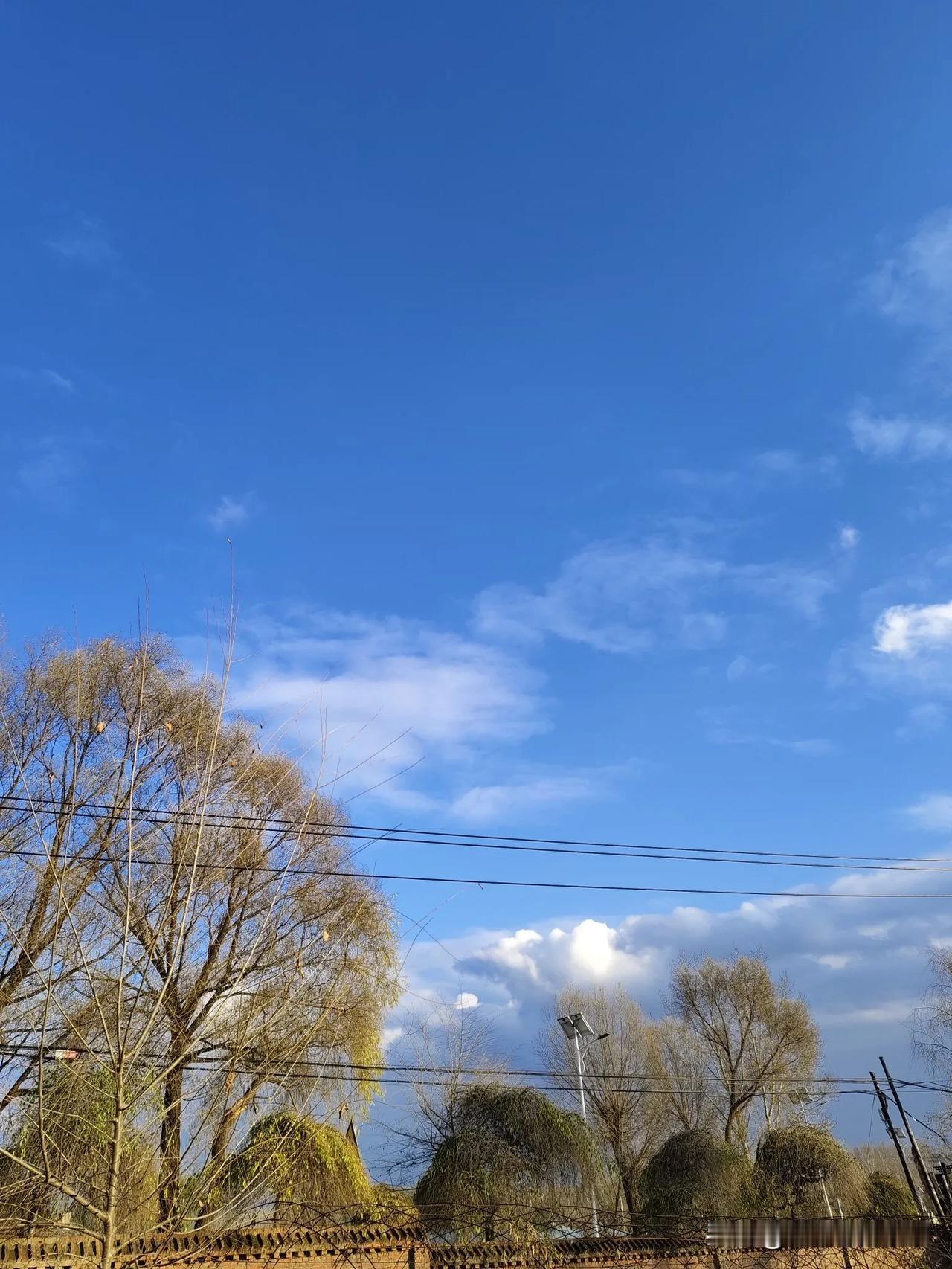 #秋日生活记录#家乡的秋#随手拍秋季景色# #秋日风光随手拍# #秋日的随手拍#