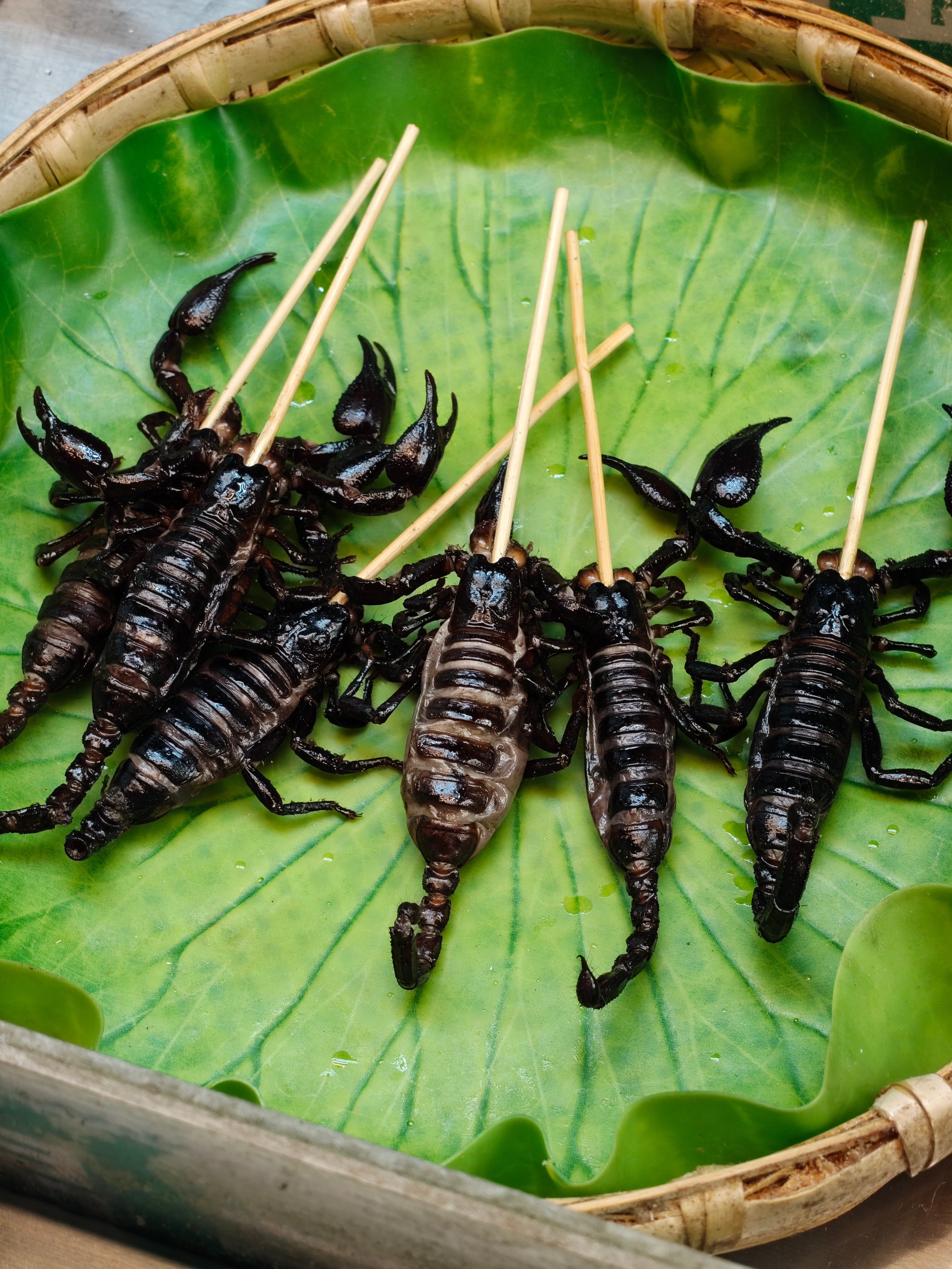 晚上整点夜宵吃点儿啊？ 