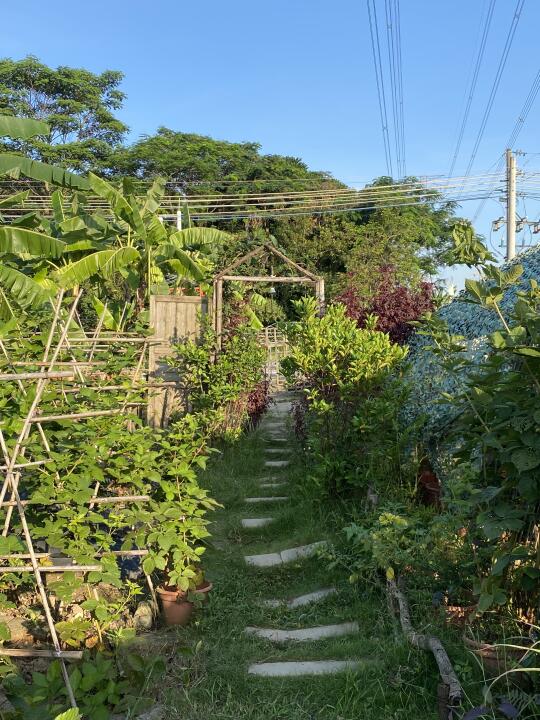 在广州花3w💰开的小农场长什么样？