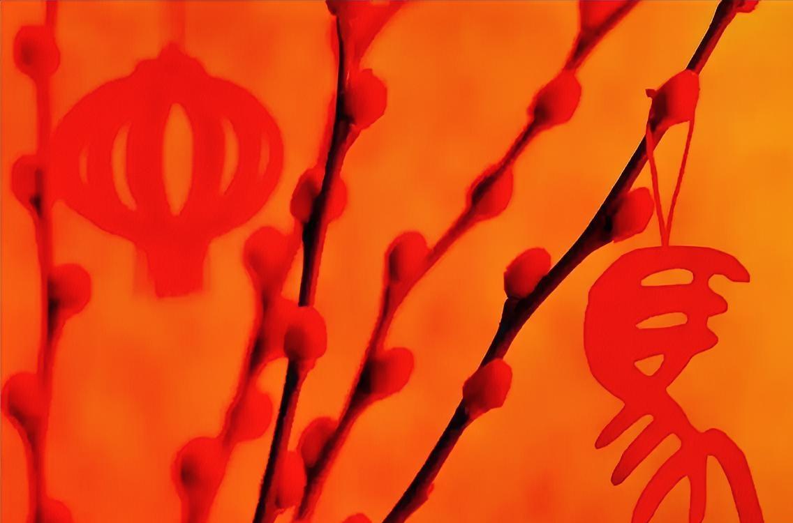 2025年还剩最后一周，对这一年想说些啥？2026年又有何期待？
奋斗就是每一天