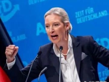 德国选择党联合主席魏德尔10月10日发文写道：“特朗普与普京达成协议：制裁将放宽