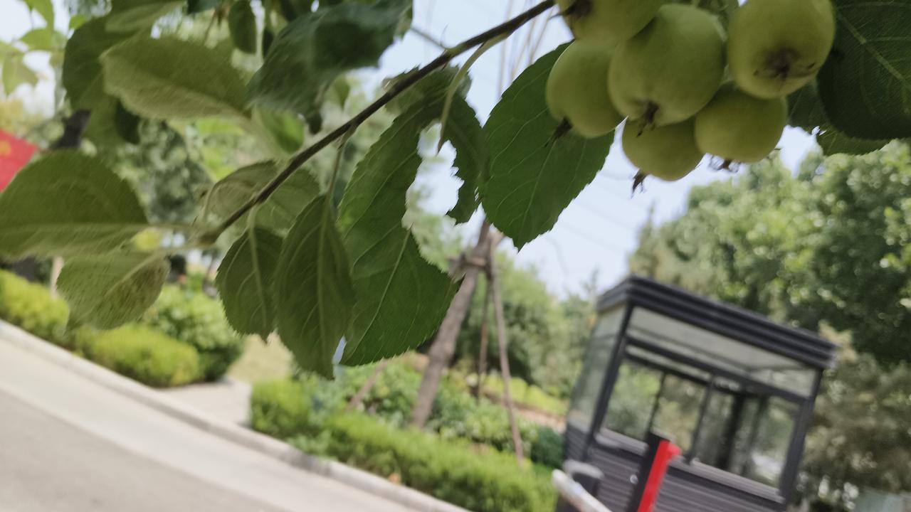 要说咱们聊城人夏天更偏爱空调还是风扇，其实啊，这得看天公作不作美，更看咱聊城人讲