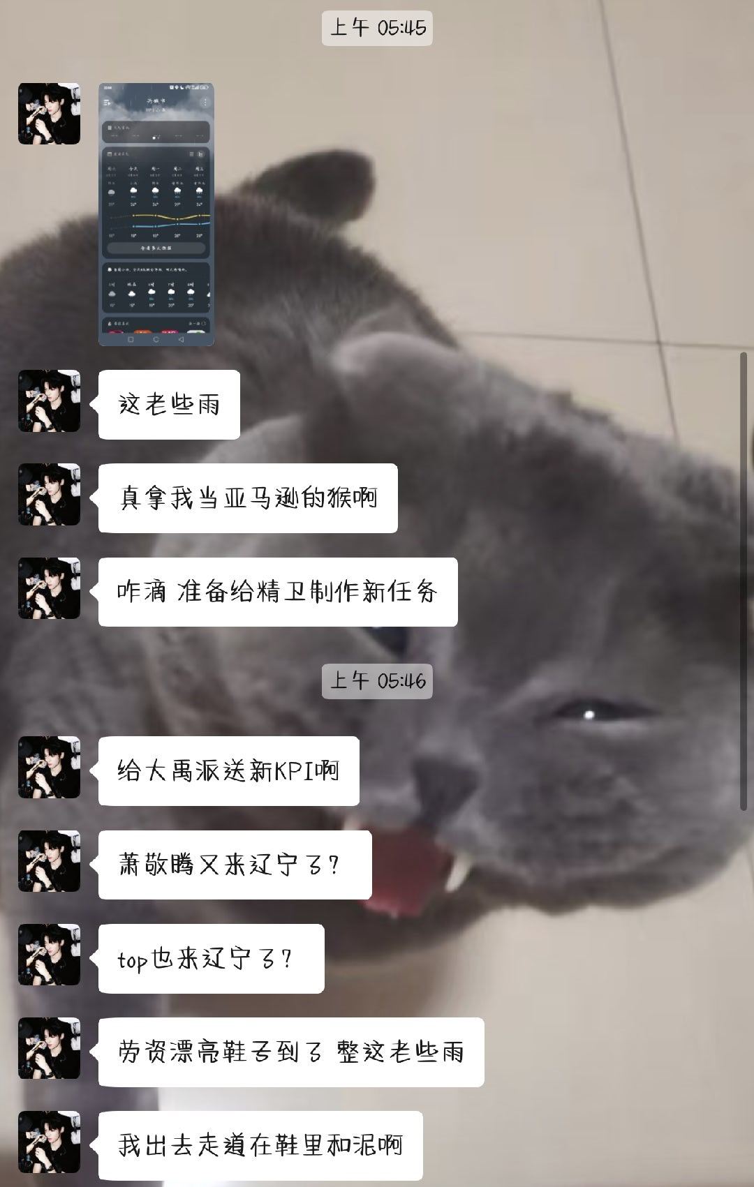 我并不知道葫芦岛你是怎么了