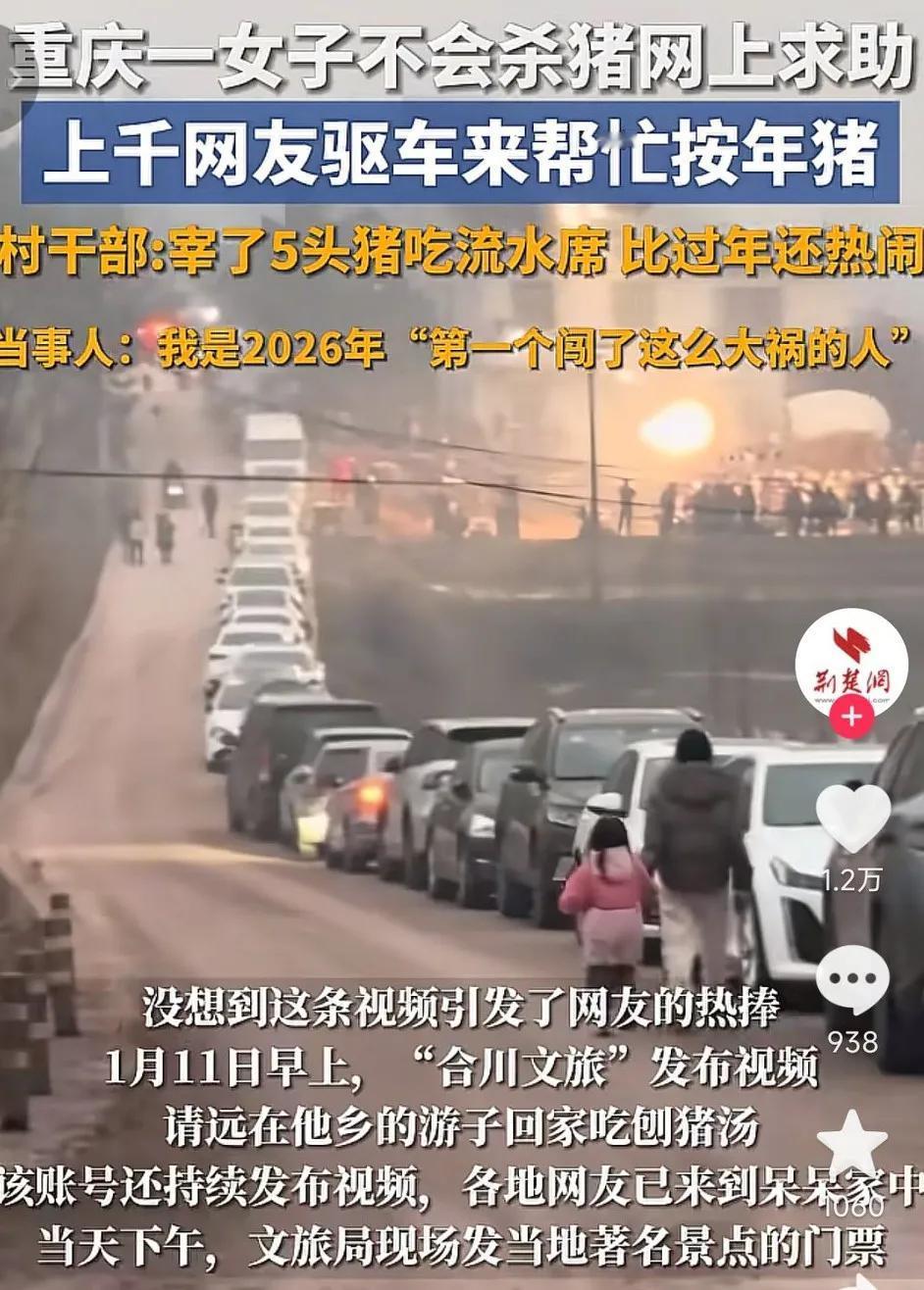 彻底火了，重庆一女子因不会杀猪在网上求助，没想到意外火了，来了上千人帮忙按年猪，