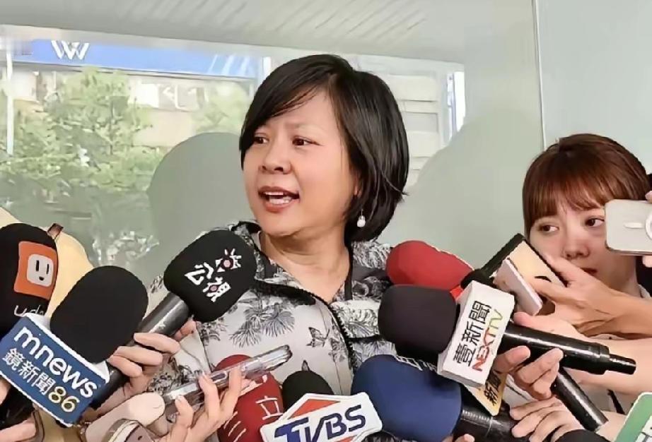 民进党还是高兴的太早了？
李贞秀在绿媒节目上左打“民众党”右打“民进党”，一句“