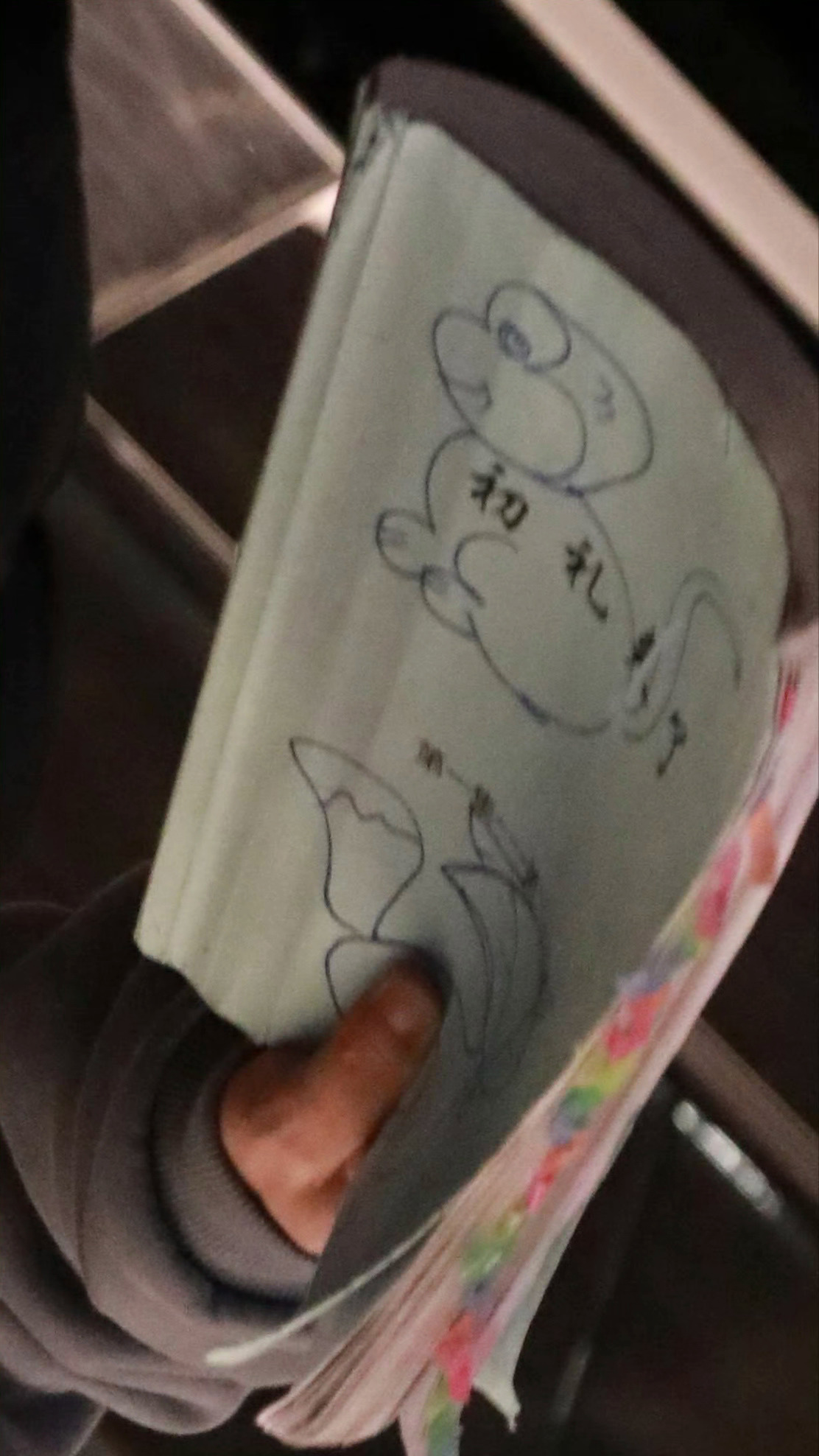 宝宝真是童心未泯😇剧本封面每次都画得可可爱爱的丁禹兮南部档案虾虾日记