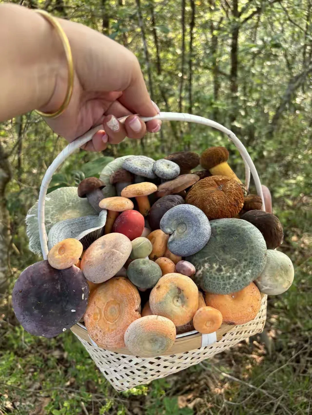 三姐也是看人下菜碟，和你老公久处1年以上，是觉得你好欺负 我跟原配们说...