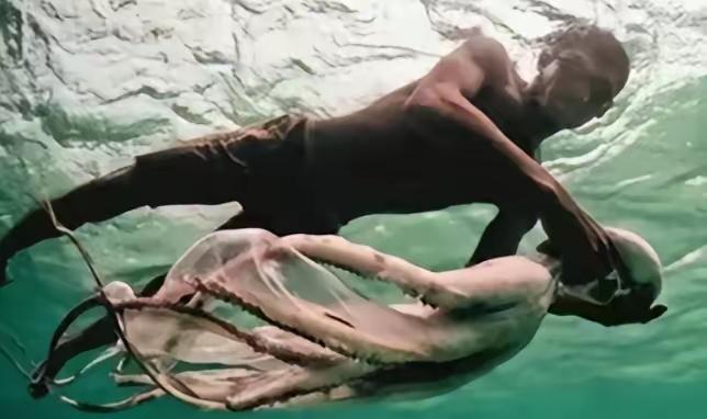 世界上唯一没有国籍的民族：一生只能待在水里，身体开始 “进化”

没有国籍，没有